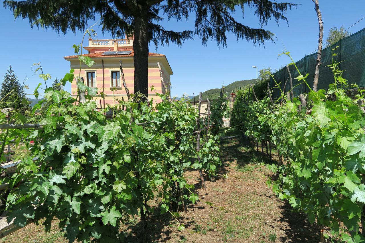 Villa Vincenza Vallo della Lucania Bagian luar foto