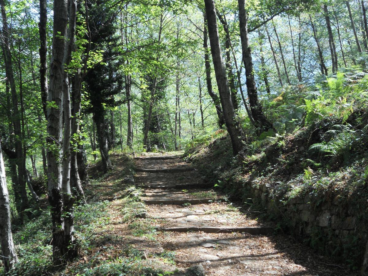 Villa Vincenza Vallo della Lucania Bagian luar foto