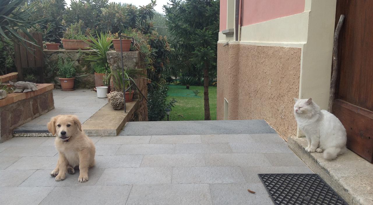 Villa Vincenza Vallo della Lucania Bagian luar foto