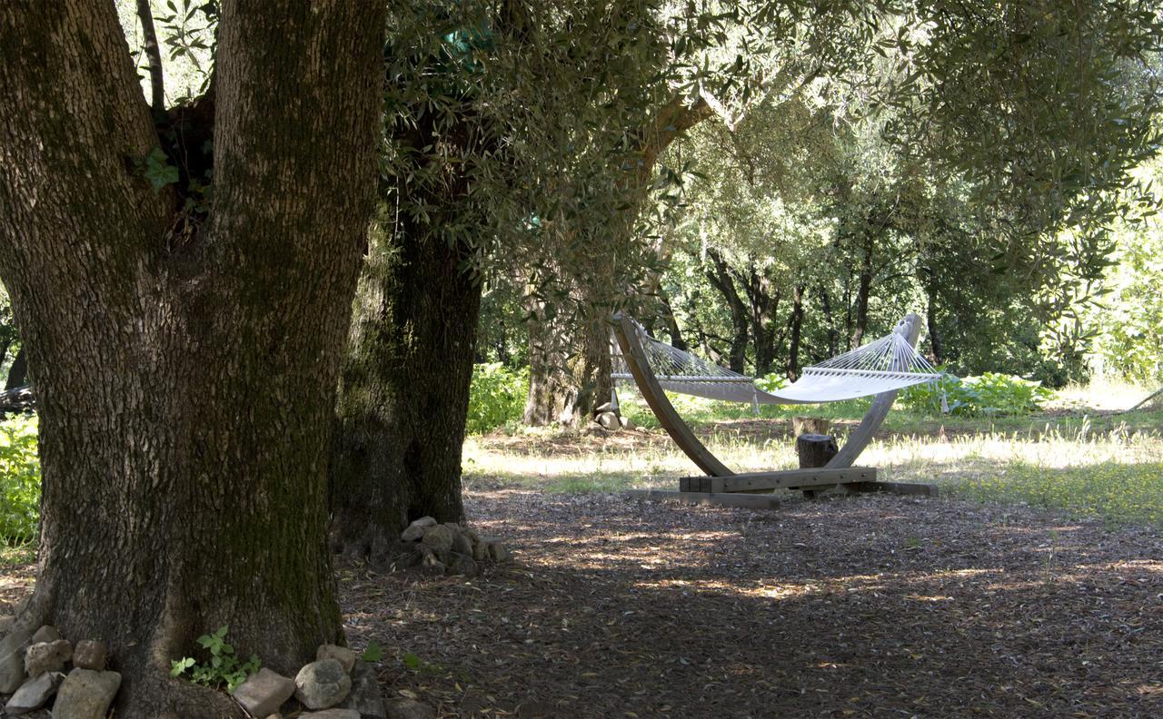 Villa Vincenza Vallo della Lucania Bagian luar foto