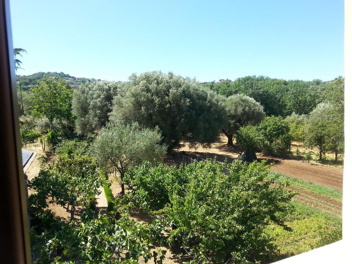 Villa Vincenza Vallo della Lucania Bagian luar foto